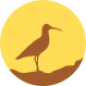 Wulp logo