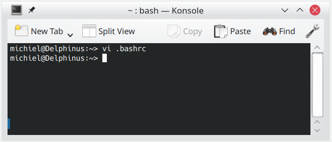 Terminal Window with vi bashrc